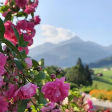 Alpbacherhof Mountain & 4*