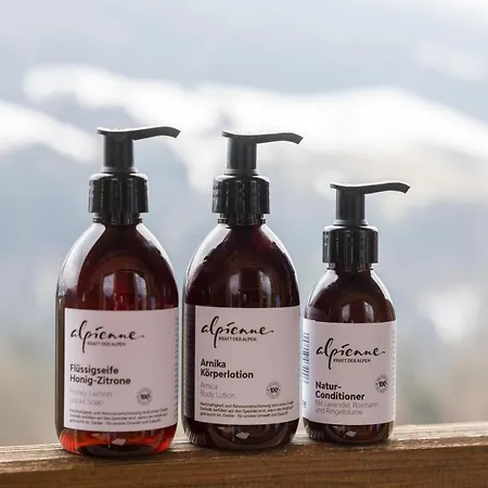 Alpbacherhof Mountain & Hotel 4*