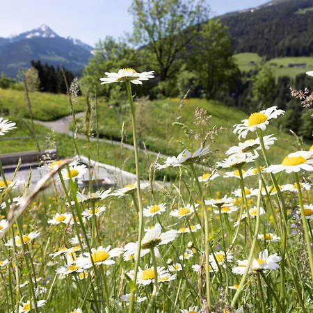 Hotell Alpbacherhof Mountain & Alpbach