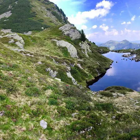 Alpbacherhof Mountain & 호텔 알프바취