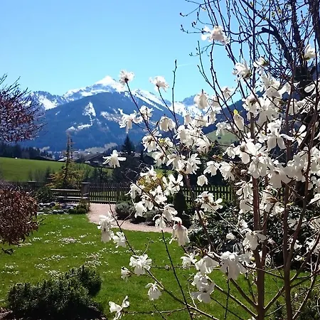 Alpbacherhof Mountain &