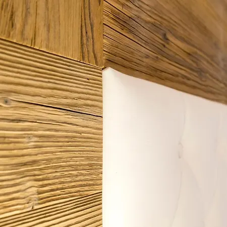 Alpbacherhof Mountain & 阿尔卑巴赫