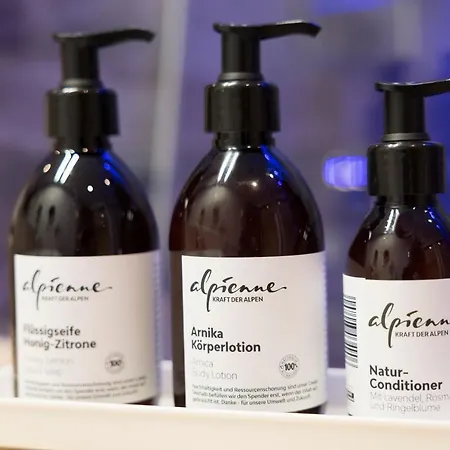 酒店 Alpbacherhof Mountain & 阿尔卑巴赫