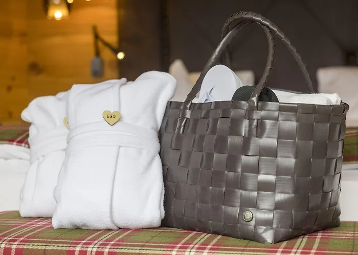 Alpbacherhof Mountain & 4*