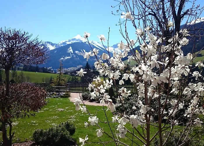 Alpbacherhof Mountain &